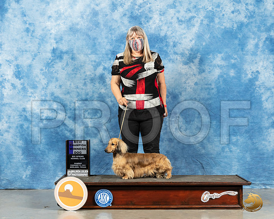 Dachshund Long Coat #7 Sun WD Dual Champion Judge Dr Erik Liebes_MMJ_1301_Mdlnd21_HR3