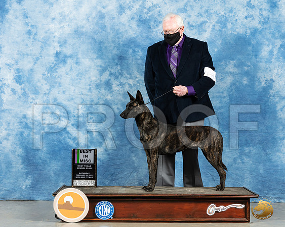 Dutch Shepherd #68 Sat BMisc Judge John Booth_MMJ_1928_Mdlnd21_HR3