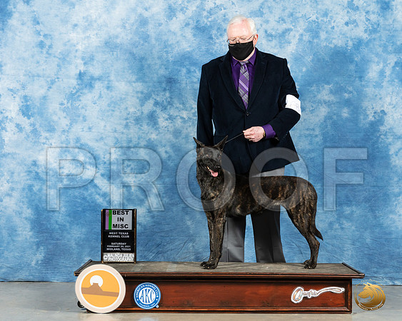Dutch Shepherd #68 Sat BMisc Judge John Booth_MMJ_1929_Mdlnd21_HR3