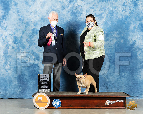 French Bulldog #28 Sun BOB Judge Ted Eubanks_MMJ_2103_Mdlnd21_HR3