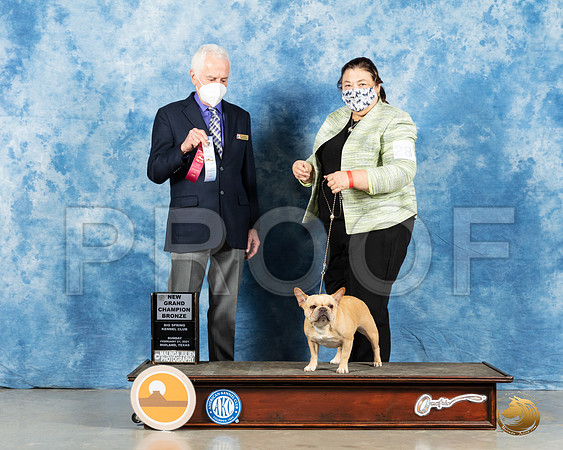 French Bulldog #28 Sun BOB Judge Ted Eubanks_MMJ_2105_Mdlnd21_HR3