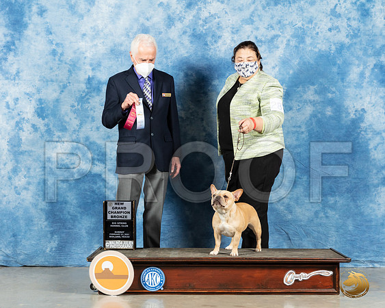French Bulldog #28 Sun BOB Judge Ted Eubanks_MMJ_2107_Mdlnd21_HR3
