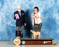 French Bulldog #62 Sun BOS Jude Ted Eubanks