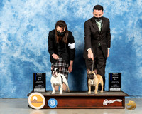 French Bulldogs #63 #88 Sun Judge Ted Eubanks