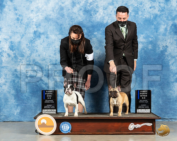 French Bulldogs #63 #88 Sun Judge Ted Eubanks_MMJ_1205_Mdlnd21_HR3