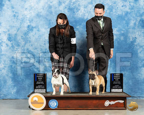 French Bulldogs #63 #88 Sun Judge Ted Eubanks_MMJ_1206_Mdlnd21_HR3