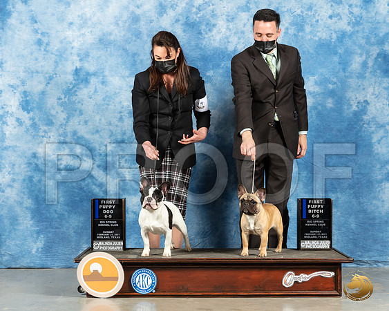 French Bulldogs #63 #88 Sun Judge Ted Eubanks_MMJ_1207_Mdlnd21_HR3