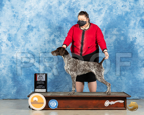 German Shorthaired Pointer #10 BOS Judge Nancy Simmons_MMJ_1226_Mdlnd21_HR3