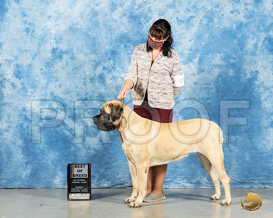 Mastiff #8 Sun BOB Judge Harold Tatro_MMJ_1265_Mdlnd21_HR3