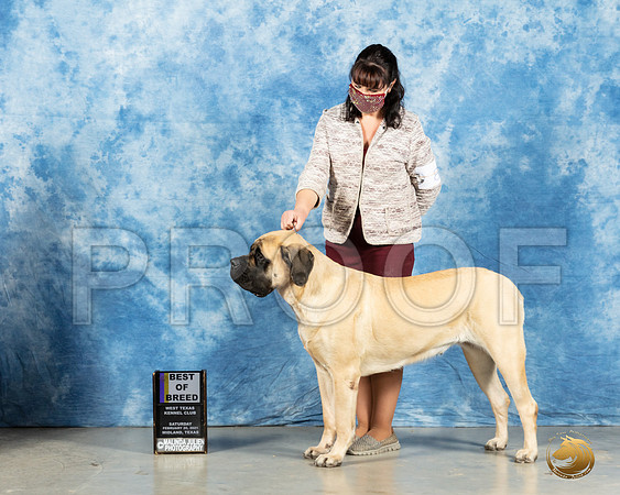 Mastiff #8 Sun BOB Judge Harold Tatro_MMJ_1271_Mdlnd21_HR3