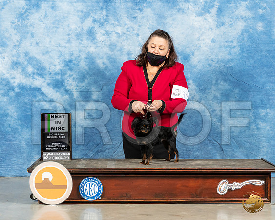 Russian Toy #305 Sun BMISC Judge Judith Brown_MMJ_2063_Mdlnd21_HR3