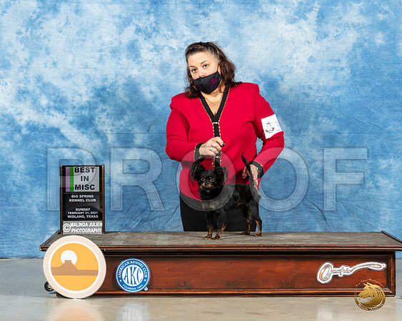Russian Toy #305 Sun BMISC Judge Judith Brown_MMJ_2064_Mdlnd21_HR3