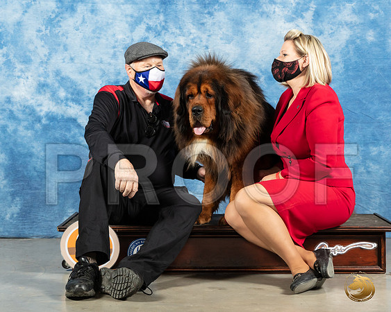 Tibetan Mastiff #9 Michael_MMJ_1236_Mdlnd21_HR3