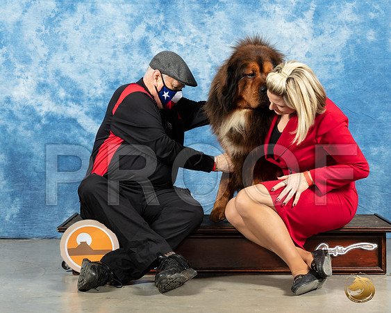 Tibetan Mastiff #9 Michael_MMJ_1238_Mdlnd21_HR3
