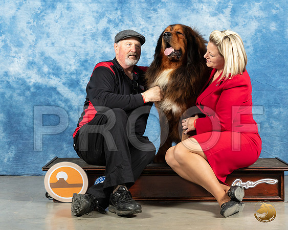 Tibetan Mastiff #9 Michael_MMJ_1239_Mdlnd21_HR3