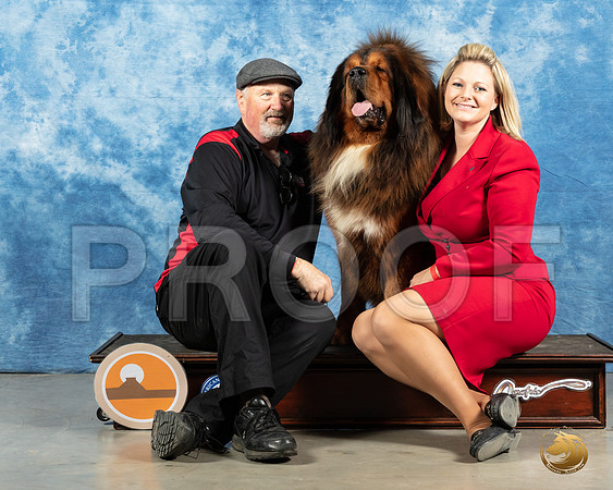 Tibetan Mastiff #9 Michael_MMJ_1240_Mdlnd21_HR3