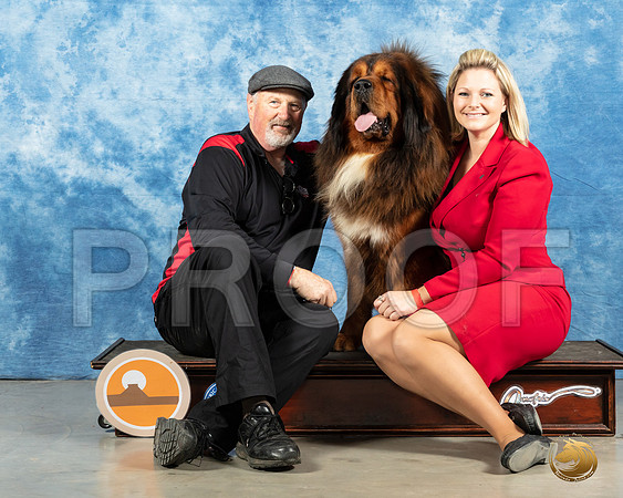 Tibetan Mastiff #9 Michael_MMJ_1243_Mdlnd21_HR3