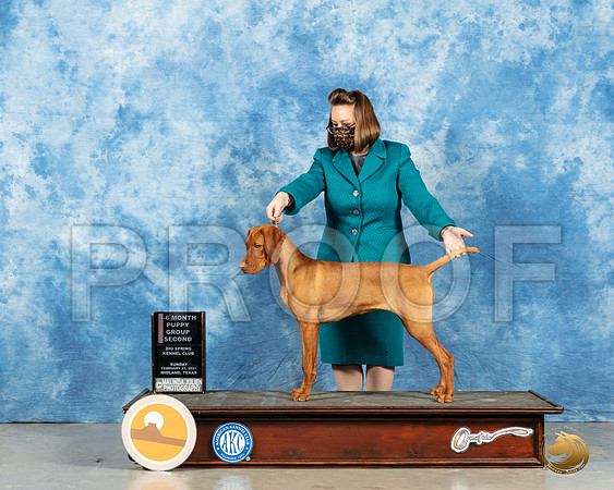Vizsla #22 Sun BOB Judge Dr Erik Liebes_MMJ_1277_Mdlnd21_HR3