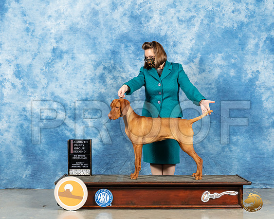 Vizsla #22 Sun BOB Judge Dr Erik Liebes_MMJ_1280_Mdlnd21_HR3