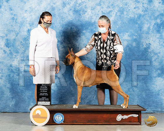 Boxer #7 FRI reshoot_MMJ_1425_Mdlnd21_HR3