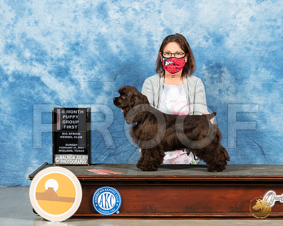 Cocker Spaniel ASCOB #10 Sun BOV Judge Dr Erik Liebes_MMJ_1403_Mdlnd21_HR3