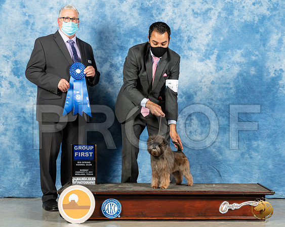 Affenpinscher #9 Sun G1 Judge John Booth_MMJ_1574_Mdlnd21_HR3