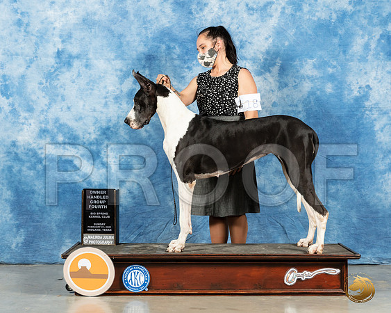 Great Dane #18 Sun OHG4 Judge Kimberly Meredith_MMJ_1564_Mdlnd21_HR3
