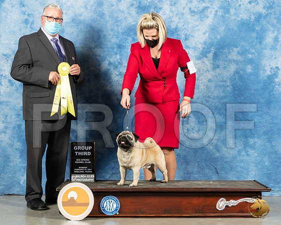 Pug #11 Sun G3 Judge John Booth_MMJ_1579_Mdlnd21_HR3
