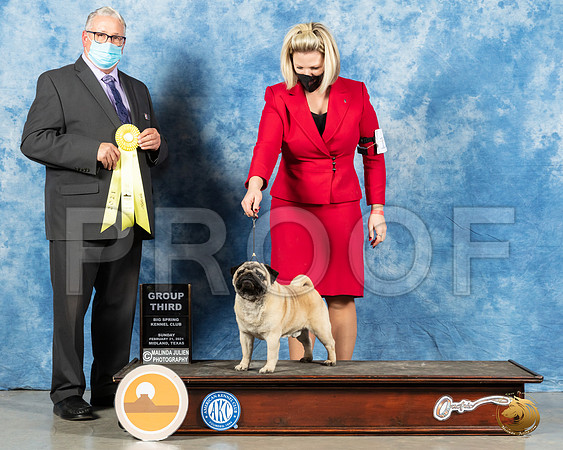 Pug #11 Sun G3 Judge John Booth_MMJ_1580_Mdlnd21_HR3