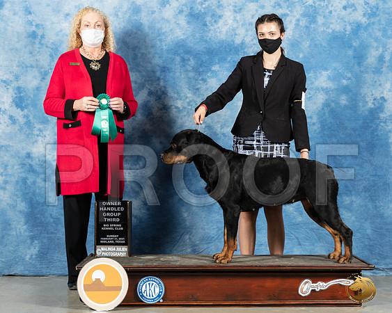 Rottweiler #10 Sun OHG3 Judge Kimberly Meredith_MMJ_1568_Mdlnd21_HR3