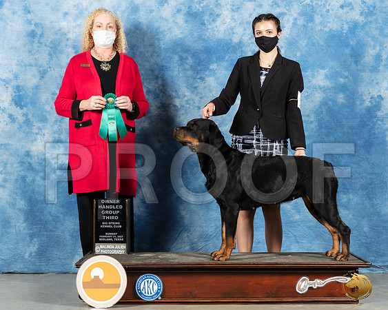 Rottweiler #10 Sun OHG3 Judge Kimberly Meredith_MMJ_1570_Mdlnd21_HR3