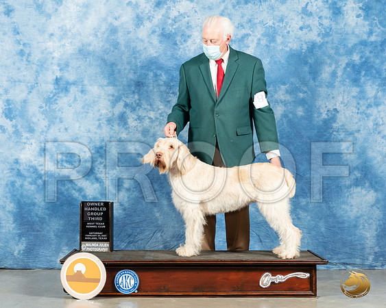 Spinone #8 Sat OHG3 Judge John Booth_MMJ_1520_Mdlnd21_HR3