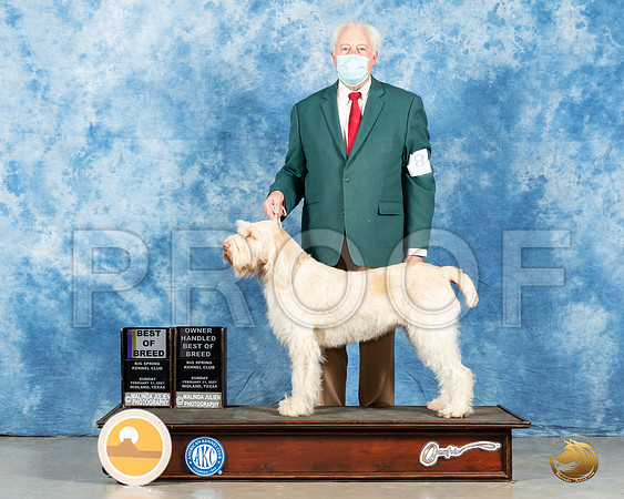 Spinone #8 Sun BOB Judge John Booth_MMJ_1511_Mdlnd21_HR3