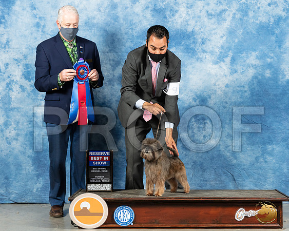 Affenpinscher #9 Sun RBIS Judge Dr Steve Keating_MMJ_1852_Mdlnd21_HR3