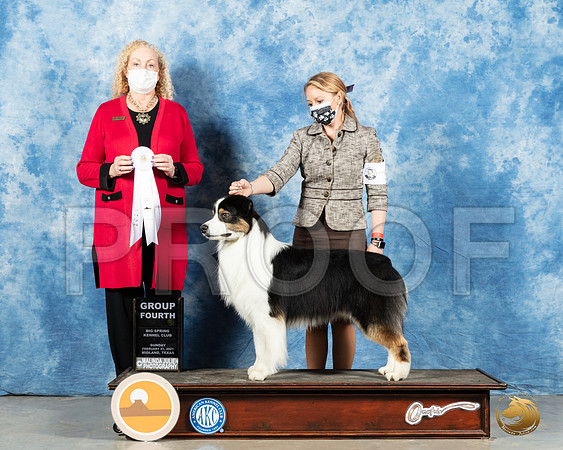 Australian Shepherd #5 Sun G4 Judge Kimberly Meredith_MMJ_1697_Mdlnd21_HR3