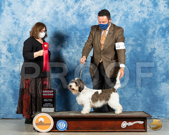 Basset Hound#6 Sun G3 Judge Elizabeth Muthard_MMJ_1838_Mdlnd21_HR3