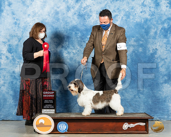 Basset Hound#6 Sun G3 Judge Elizabeth Muthard_MMJ_1839_Mdlnd21_HR3
