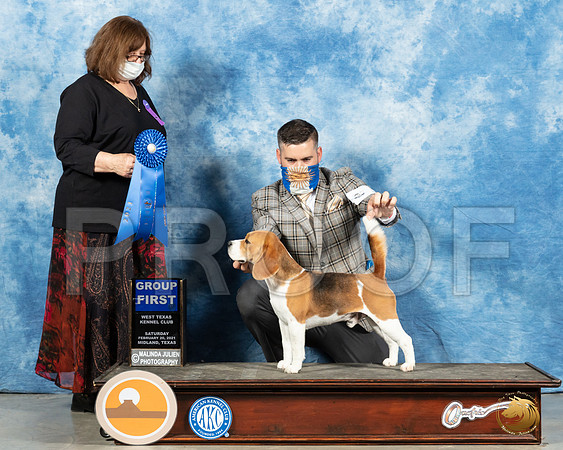 Beagle 15 #11 Sun G1 Judge Elizabeth Muthard_MMJ_1866_Mdlnd21_HR3