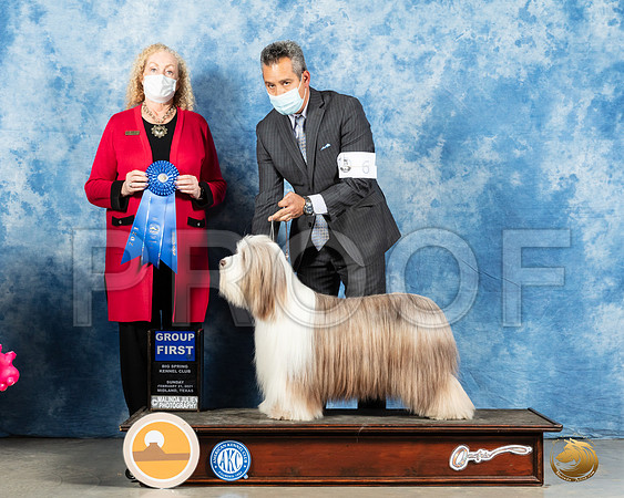 Bearded Collie #6 Sun G1 Judge Kimberly Meredith_MMJ_1694_Mdlnd21_HR3
