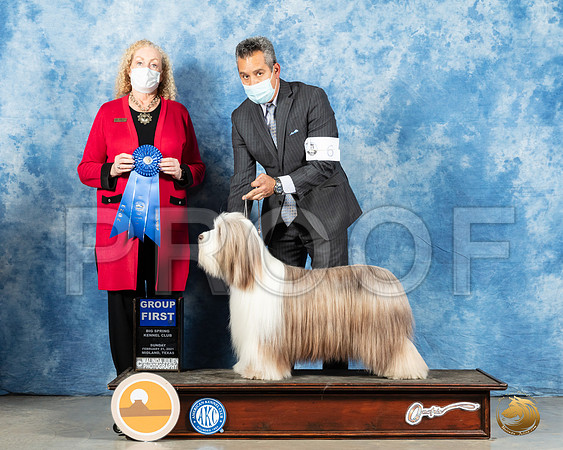 Bearded Collie #6 Sun G1 Judge Kimberly Meredith_MMJ_1695_Mdlnd21_HR3