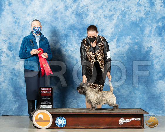 Cairn Terrier #6 Sun G2 Judge Carolyn Herbel_MMJ_1787_Mdlnd21_HR3