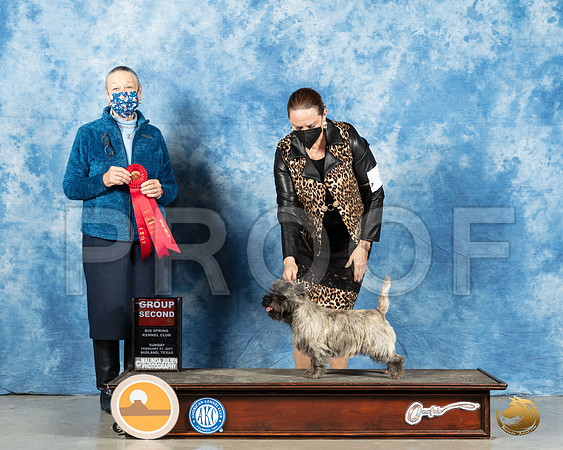 Cairn Terrier #6 Sun G2 Judge Carolyn Herbel_MMJ_1788_Mdlnd21_HR3