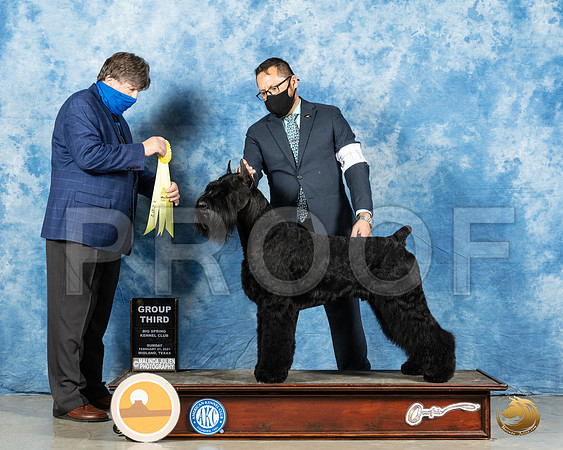 Giant Schnauzer #11 Sun G4 Judge Charles Olvis_MMJ_1677_Mdlnd21_HR3
