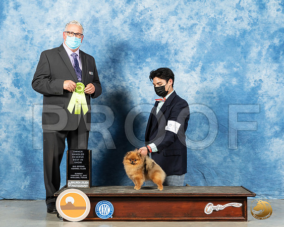 Pomeranian #28 Sun OHRBISH Judge John Booth_MMJ_1731_Mdlnd21_HR3
