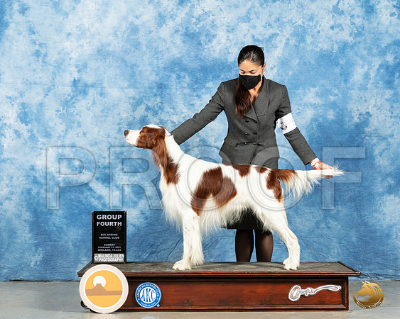 Red & White Setter#5 Sun G4 Judge Charles Olvis_MMJ_1660_Mdlnd21_HR3