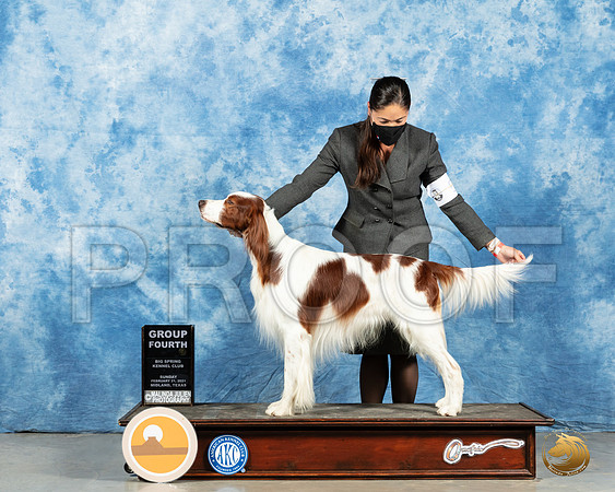 Red & White Setter#5 Sun G4 Judge Charles Olvis_MMJ_1664_Mdlnd21_HR3