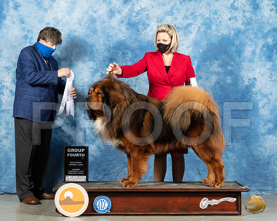 Tibetan Mastiff #7 Sun G4 Judge Charles Olvis_MMJ_1681_Mdlnd21_HR3
