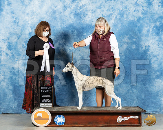 Whippet #10 Sun G4 Judge Elizabeth Muthard_MMJ_1844_Mdlnd21_HR3