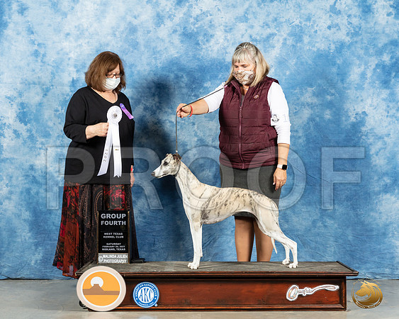 Whippet #10 Sun G4 Judge Elizabeth Muthard_MMJ_1845_Mdlnd21_HR3