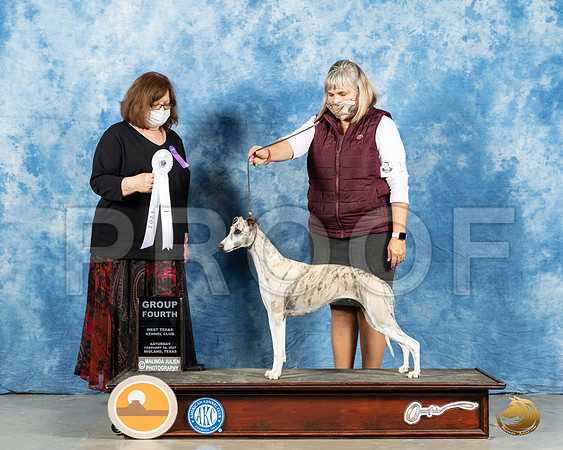 Whippet #10 Sun G4 Judge Elizabeth Muthard_MMJ_1846_Mdlnd21_HR3